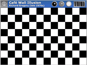 Optical Illusions